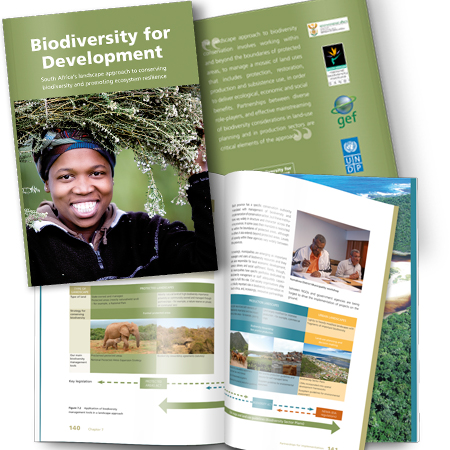 Biodiversity Assessment Primer